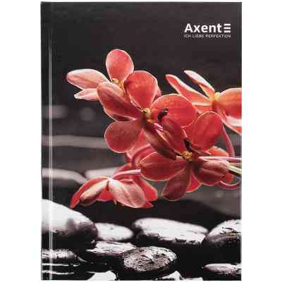 Книга записная Axent R&B Flower А5, 96 листов, клетка, твердая обложка (8457-7-A) Винница