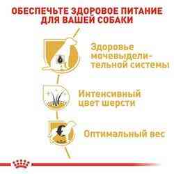 Royal Canin Miniature Schnauzer Adult (Роял Канін Мініатюр Шнауцер Едалт) корм для цвергшнауцерів від 10 міс Запоріжжя