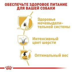 Royal Canin Miniature Schnauzer Adult (Роял Канін Мініатюр Шнауцер Едалт) корм для цвергшнауцерів від 10 міс Запоріжжя - фото 3