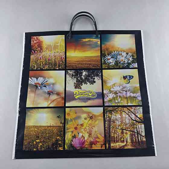 Поліетиленовий пакет (40х40) з пластиковою ручкою "Дрім" (10 шт.) Харків