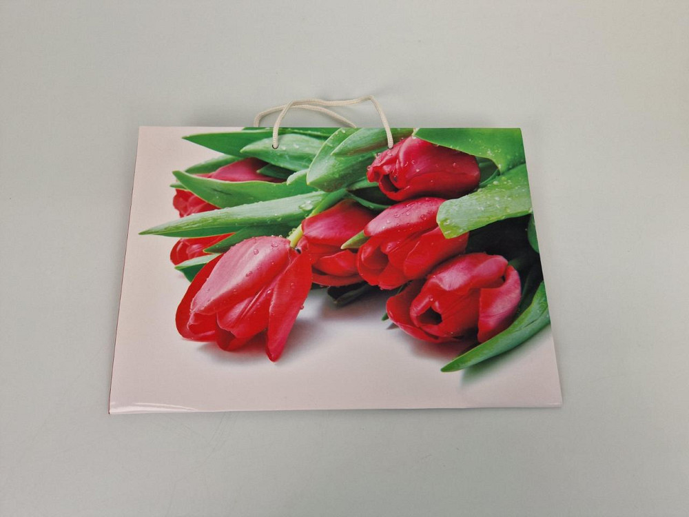 Паперовий великий горизонтальний пакет 36/22/10 (артBG-044) (12 шт.) Харків - фото 2