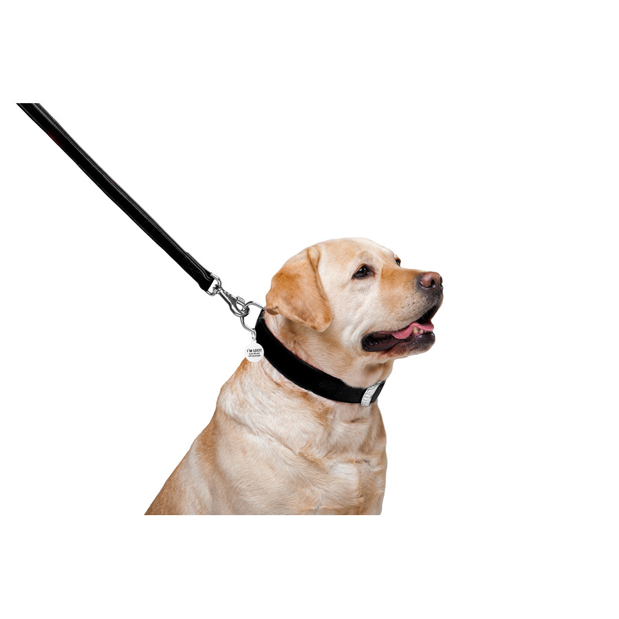 Повідець для собак шкіряний WAUDOG Glamour, Ш 25 мм, Дов 122 см чорний Коломия - фото 8