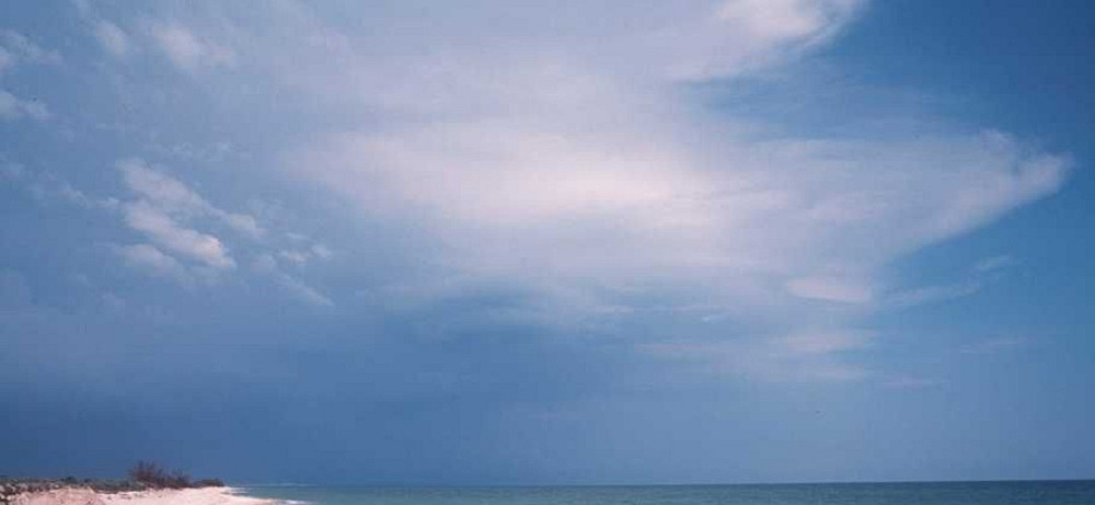 Об'єктив Canon EF 35mm f/2.0 Київ - фото 1