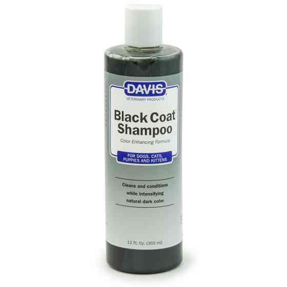 Davis Black Coat Shampoo ДЕВІС БЛЕК КОУТ шампунь для чорної шерсті собак і котів, концентрат Київ
