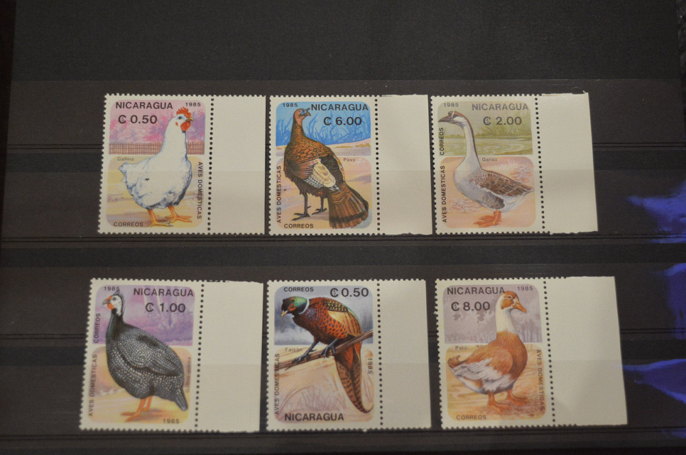 Марки. Серия. Никарагуа (УНЦ) Полтава - изображение 1