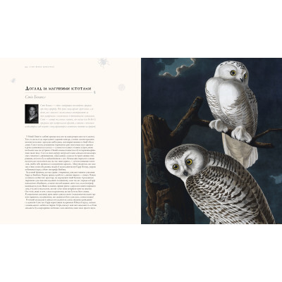 Книга Гаррі Поттер. Історія магії. Велике ілюстроване видання - Джоан Ролінґ А-ба-ба-га-ла-ма-га (9786175851685) Вінниця - фото 2