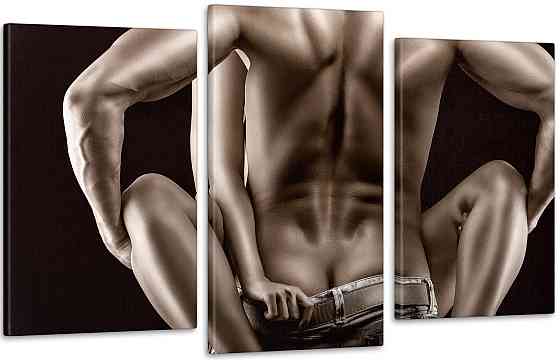 Модульная картина Страсть  (53x100см)  Art-67_3 Киев