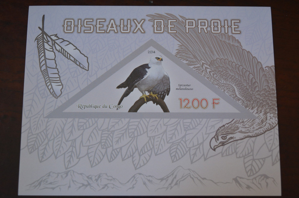 Конго. Фауна. Личности. Блок. 2014 р. (А-34) Полтава - фото 1