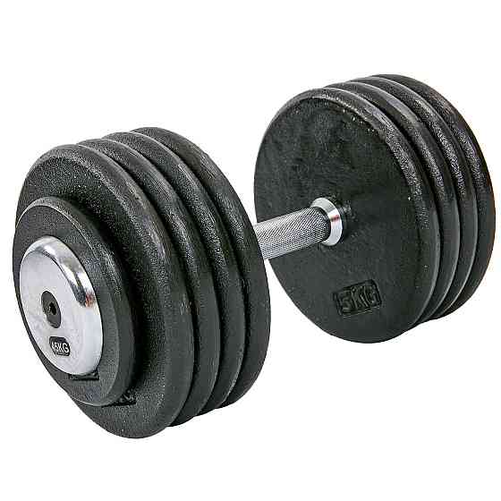 Гантель 45 кг цільна професійна RECORD-7231-45 Київ