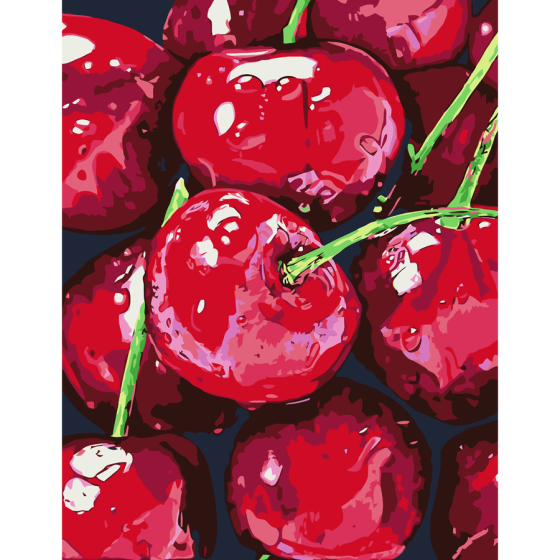 Картина за номерами „Натюрморт. Вишні“ 35×45см ROSA START Київ