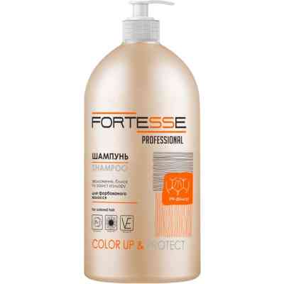 Шампунь Fortesse Professional Color Up & Protect Для окрашенных волос Стойкость цвета 1000 мл (4820000306171) Винница