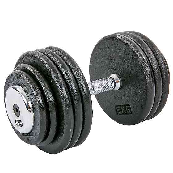 Гантель 40 кг цільна професійна RECORD-7231-40 Київ