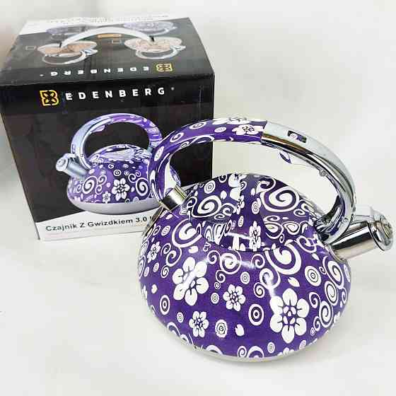 Чайник из нержавеющей стали с пищалкой, Красивый чайник для плит для газовых плит VK-45 Львов