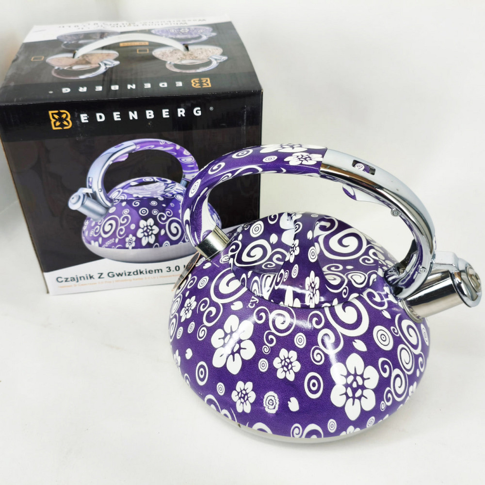 Чайник из нержавеющей стали с пищалкой, Красивый чайник для плит для газовых плит VK-45 Львов - изображение 2