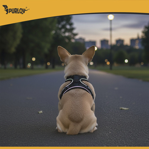 Шлейка регульована для тварин без тиску XS від 3 до 8 кг Purlov (26869) Нововолинськ - фото 7