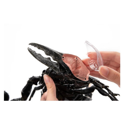 Пазл 4D Master Паук Тарантул (FM-622032) Винница - изображение 7