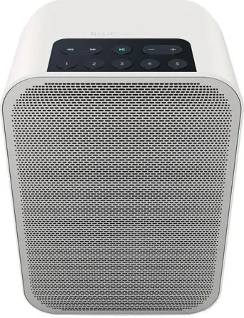 Портативная колонка Bluesound PULSE FLEX 2i biały Киев