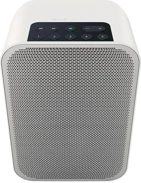 Портативная колонка Bluesound PULSE FLEX 2i biały Киев - изображение 1