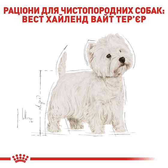 Корм для взрослых собак породы Вест-Хайленд-Уайт-терьер ROYAL CANIN WESTIE ADULT 3.0 кг Киев