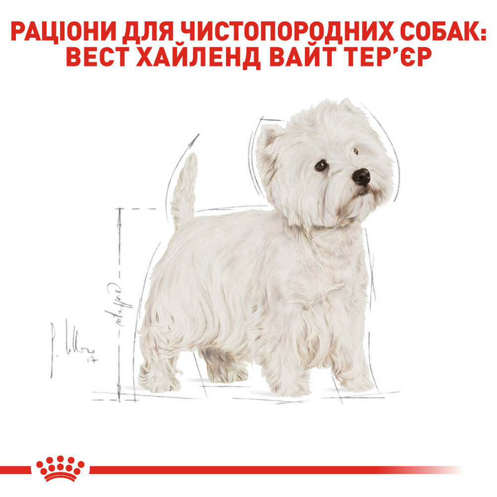 Корм для взрослых собак породы Вест-Хайленд-Уайт-терьер ROYAL CANIN WESTIE ADULT 3.0 кг Киев - изображение 3