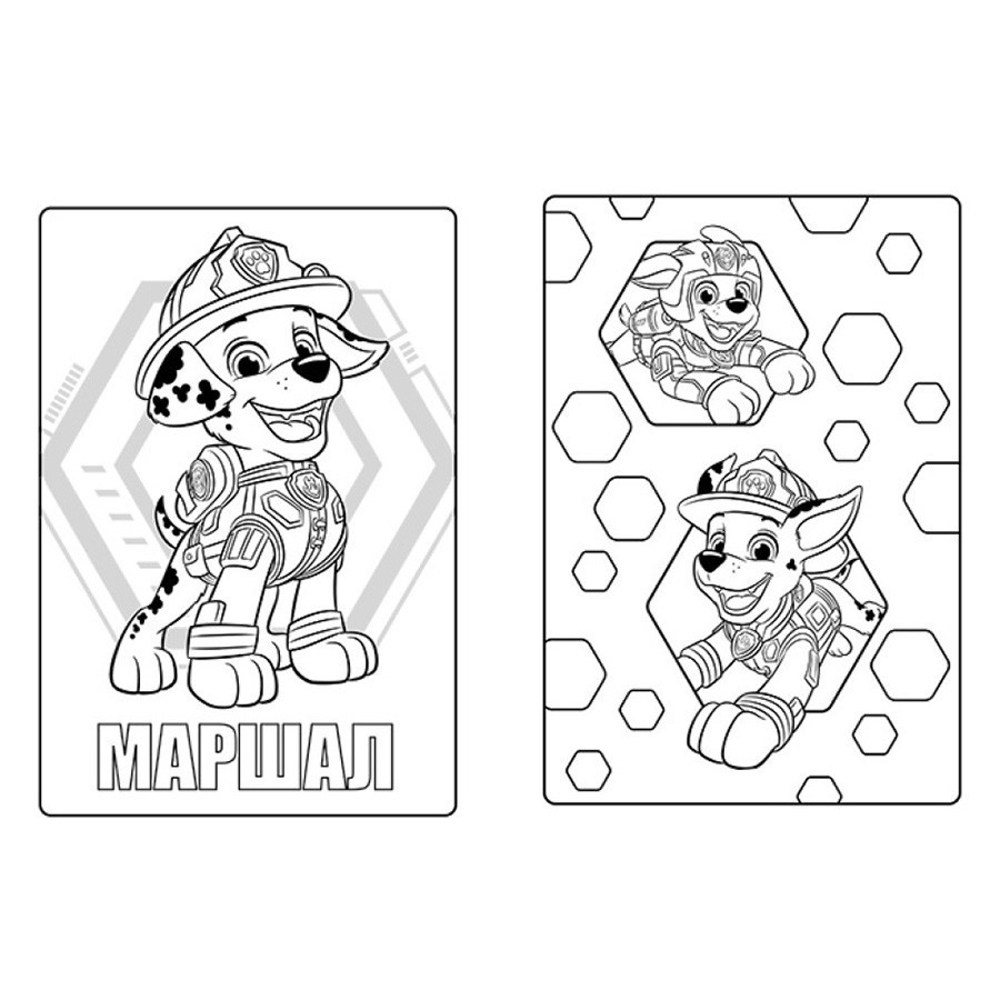 Цветные приключения Щенячий Патруль 