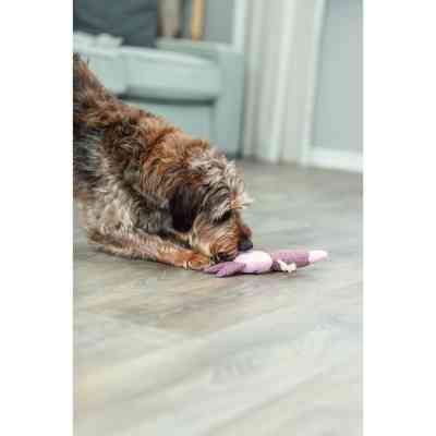 Игрушка для собак Trixie Заяц Ткань и плюш 24 см (4011905361543) Винница