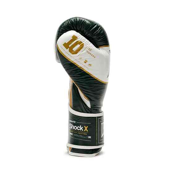 Боксерські рукавички Leone Shock X Green 14 ун. Кам'янське