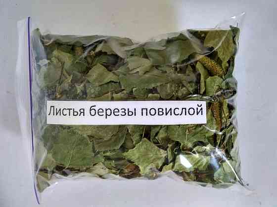 Листя берези белой 100г master sem Киев