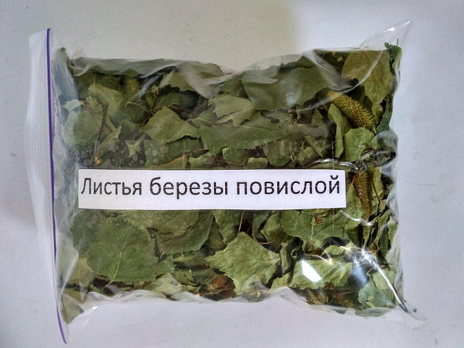 Листя берези белой 100г master sem Киев - изображение 1