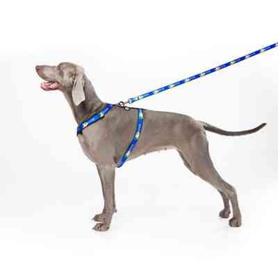 Поводок для собак WAUDOG Nylon "Знамя" S 15 мм х 122 см (4915-0229) Винница