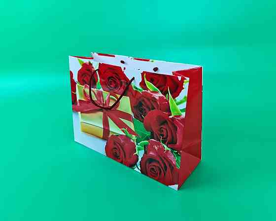 Паперовий великий горизонтальний пакет 36/22/10 (артBG-116) (12 шт.) Харків