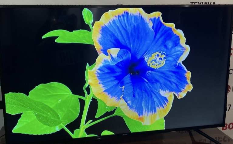 Телевизор Samsung 55 