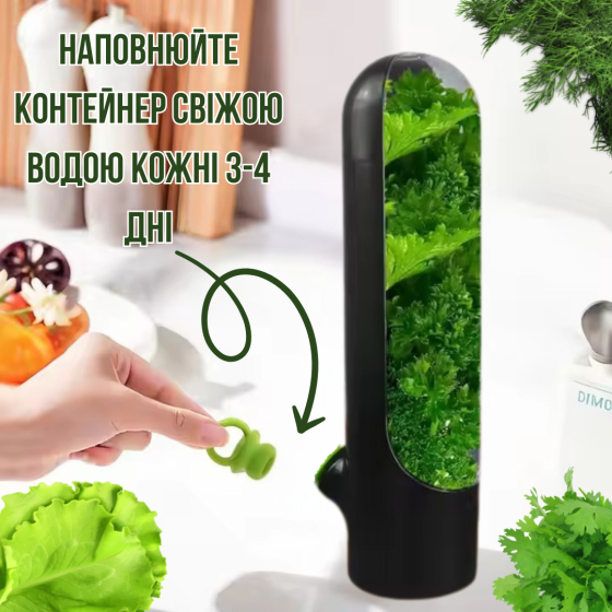 Органайзер-контейнер для зберігання зелені Herb Saver, чорний Кам'янець-Подільський