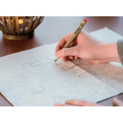 Лайнер Sakura PIGMA MICRON (0.03) 0,15мм, Чорний (084511307247) Вінниця - фото 11