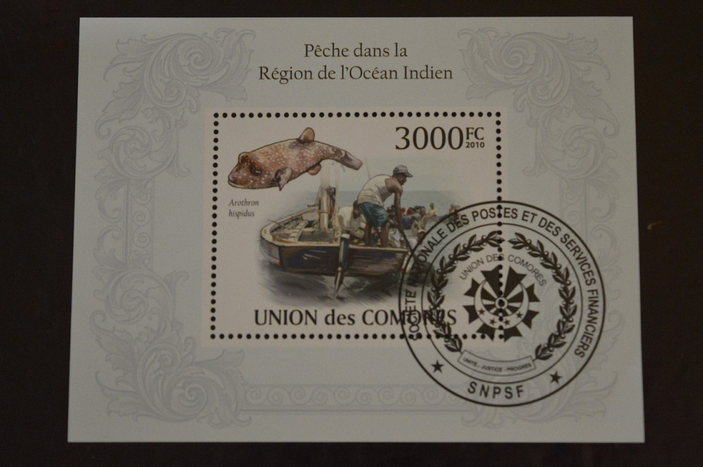 Коморы. Марки. Фауна. Блок. 2010 год (В-5) Полтава - изображение 1