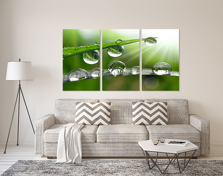 Модульная картина в гостиную / спальню  Краплі роси      ART-307_3A 100х150 см Киев - изображение 2