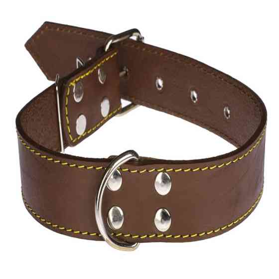 Нашийник 611 40мм "Класик" шкіряний Вінниця