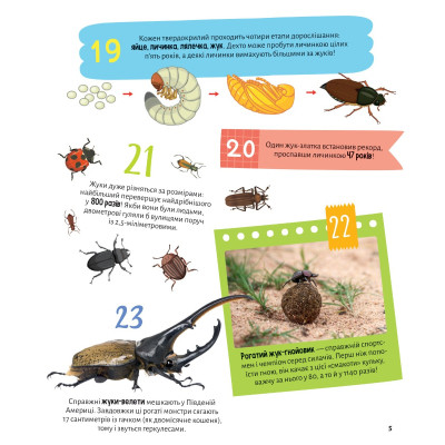 Книга Комахи. 100 цікавих фактів - Ольга Пилипенко Vivat (9789669829856) Винница - изображение 5