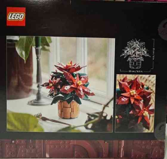 LEGO Icons 10370 «Різдвяна зірка» (Poinsettia). Київ