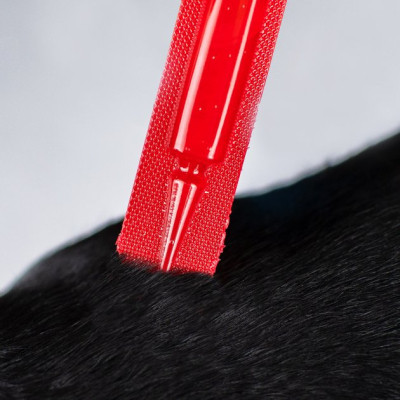 Капли для животных ProVET Profiline инсектоакарицид для собак 20-40 кг 4/3 мл (4823082431021) Винница - изображение 4