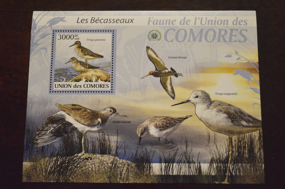 Коморы. Фауна. 2009 год (А) Полтава - изображение 1