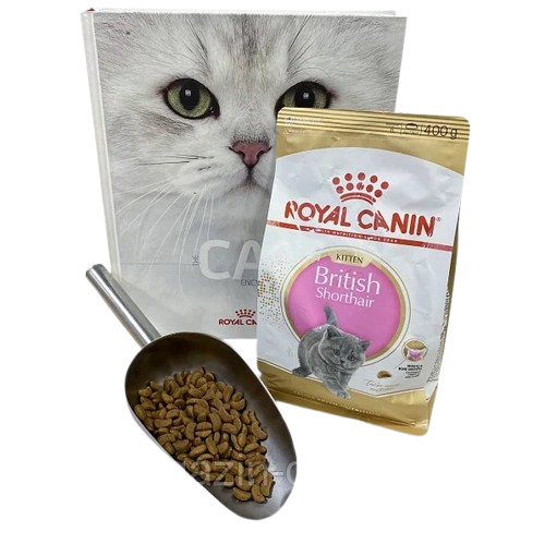 Royal Canin British Shorthair Kitten (Роял Канін Кіттен британська короткошерста) сухий корм для кошенят на вагу 1кг Запоріжжя