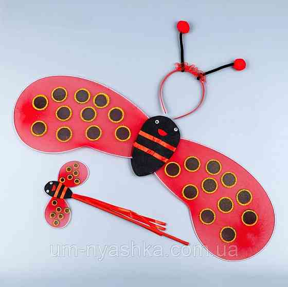 Набір Божа Корівка Крила, вусики, чарівна паличка Кривий Ріг