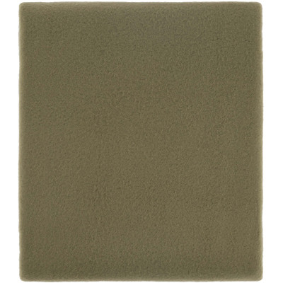 Плед Ardesto Fleece 100% полиэстер, зеленый 130х160 см (ART0730PB) Винница - изображение 3