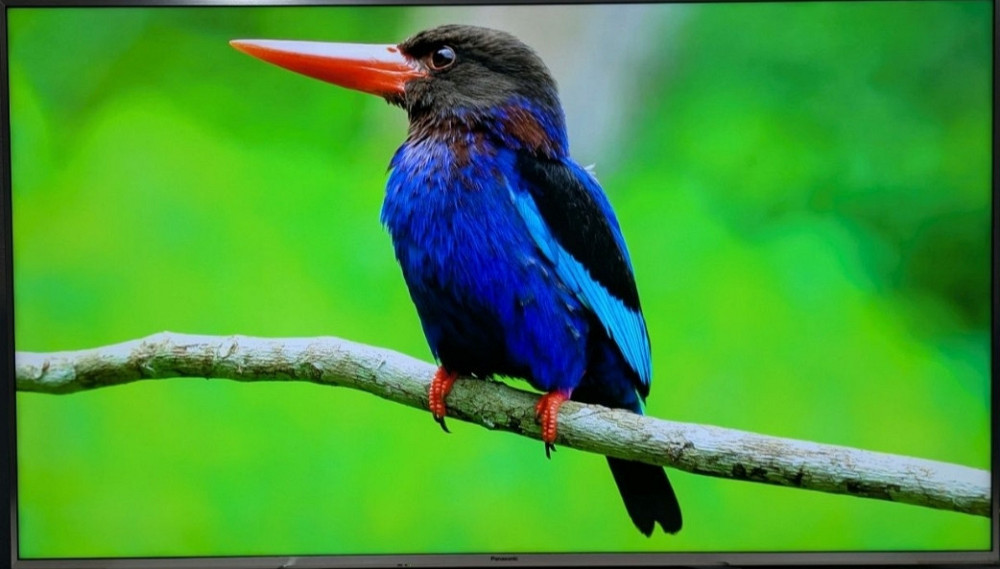 Телевизор Panasonic TX -65DXW784 4K Pro HDR 3D/ 120Hz. / TOP/ 2017 Киев - изображение 7