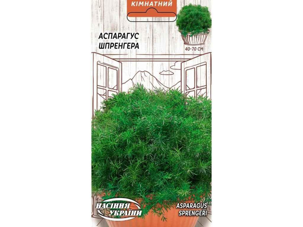 Аспарагус Шпренгера (10 пачек) 0.2г ТМ НАСИТАНИЕ УКРАИНЫ Киев - изображение 1