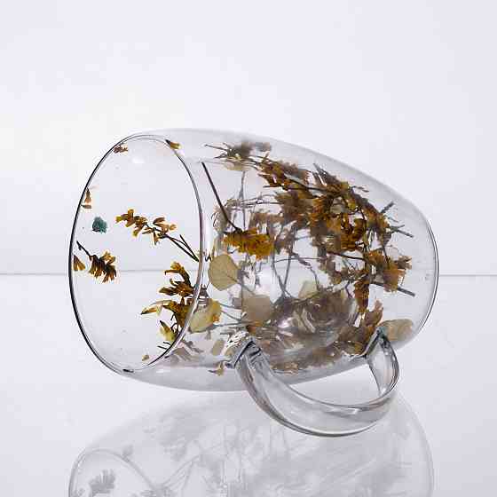 Чашка скляна з подвійними стінками, склянка з термостійкого скла з декором жовтих сухоцвітів 350 мл 64486-43 Київ