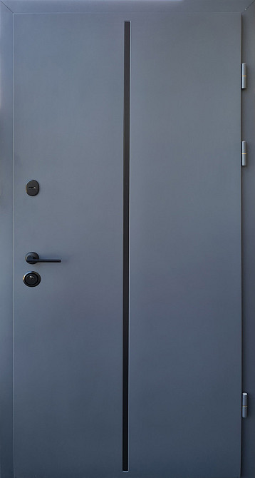 Дверь уличная модель LAMA LINE, антрацит/белое дерево 860 Киев - изображение 1