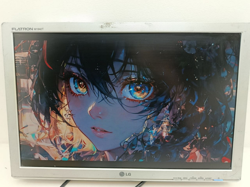 Монітор 19" LG W1942T-SF Silver-Black (товар вживаний) Луцьк - фото 2