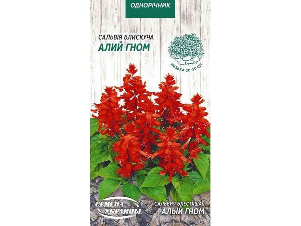 Сальвія блискучка Яскраво-червоний Гном ОД 0,2 г (10 пачок) ТМ СЕМЕНА УКРАЇНИ Київ - фото 1